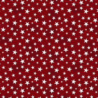 WP Stars Of Valor - 3028-30089-331 - Cotton Fabric