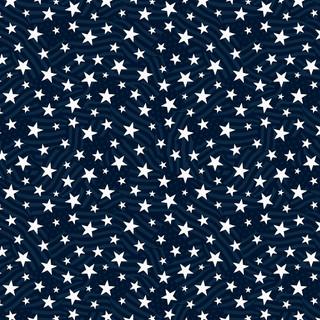 WP Stars Of Valor - 3028-30089-441 - Cotton Fabric