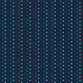 WP Stars Of Valor - 3028-30090-413 - Cotton Fabric