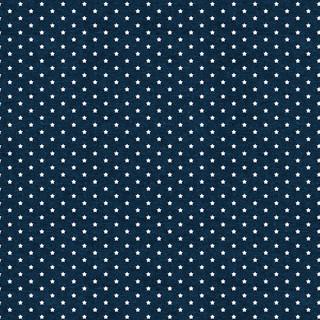 WP Stars Of Valor - 3028-30090-414 - Cotton Fabric