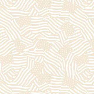 WP Stars Of Valor - 3028-30091-212 - Cotton Fabric