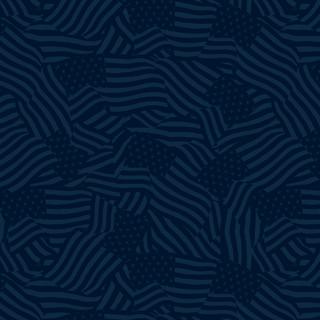 WP Stars Of Valor - 3028-30091-444 - Cotton Fabric