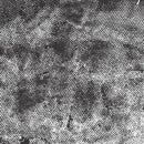 AND Dimples - A-1867-K4 Black Ice - Cotton Fabric