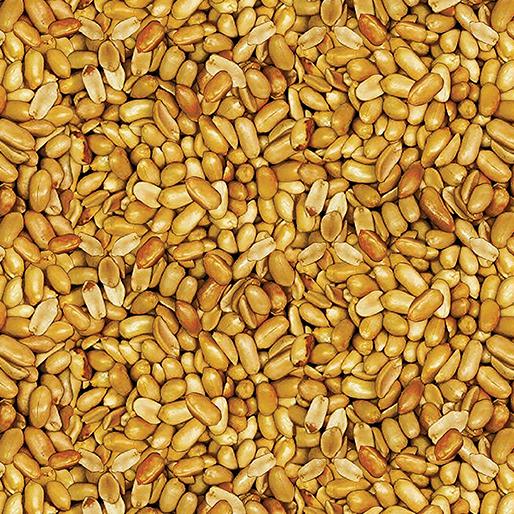 BTX Ale House - Beer Nuts 12747-70 Natural - Cotton Fabric