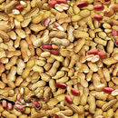BTX Ale House - In Shell Peanuts 12749-70 Natural - Cotton Fabric
