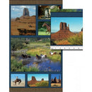 BTX American Spirit 01352 - Cotton Fabric