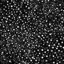 BTX Needle Stars 13474-12 Black/White - Cotton Fabric
