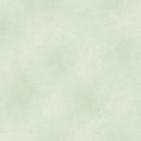 BTX Shadow Blush, 2045-16 Minty - Cotton Fabric