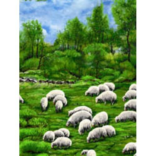 CC In The Meadow 4100-61322-6 - Cotton Fabric