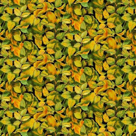 CHK Flowers of the Sun 79279-577 - Cotton Fabric