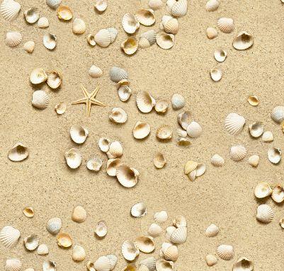 EZS Landscape Medley Sea Shells - 555-SAND - Cotton Fabric