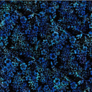 HFF Bali Batik - T2406-254 Tahiti - Cotton Batik Fabric