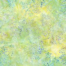 RK Greenhouse 4 - 18932-270 - Cotton Fabric