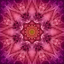 HFF Dream Big Kaleidoscope U50899-23 FUCHSIA - Cotton Fabric