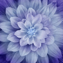 HFF Dream Big Panel - A Hoffman Spectrum Print -  P4389-222 Hydrangea - Cotton Fabric