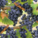 HFF Through The Vine T4964-45 GRAPE - Cotton Fabric