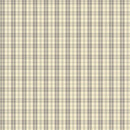 MB Greige Goods R310243-VANILLA - Cotton Fabric