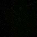 MODA 100% Wool - 54810-29 Black - Wool Fabric