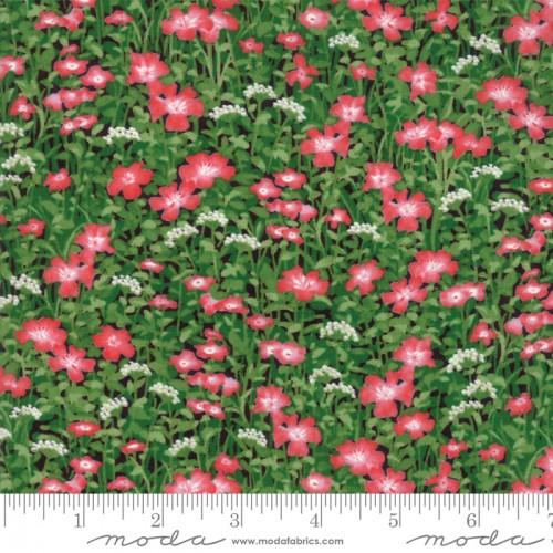 Moda Wildflowers IX 33383-16 - Cotton Fabric