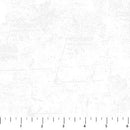 NCT Canvas - 9030-10 Whitewash - Cotton Fabric