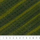 NCT Color Me Banyan Treads, 80359-74 Green - Cotton Batik Fabric