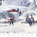 NCT Hometown Hockey DP22910-41 - Cotton Fabric