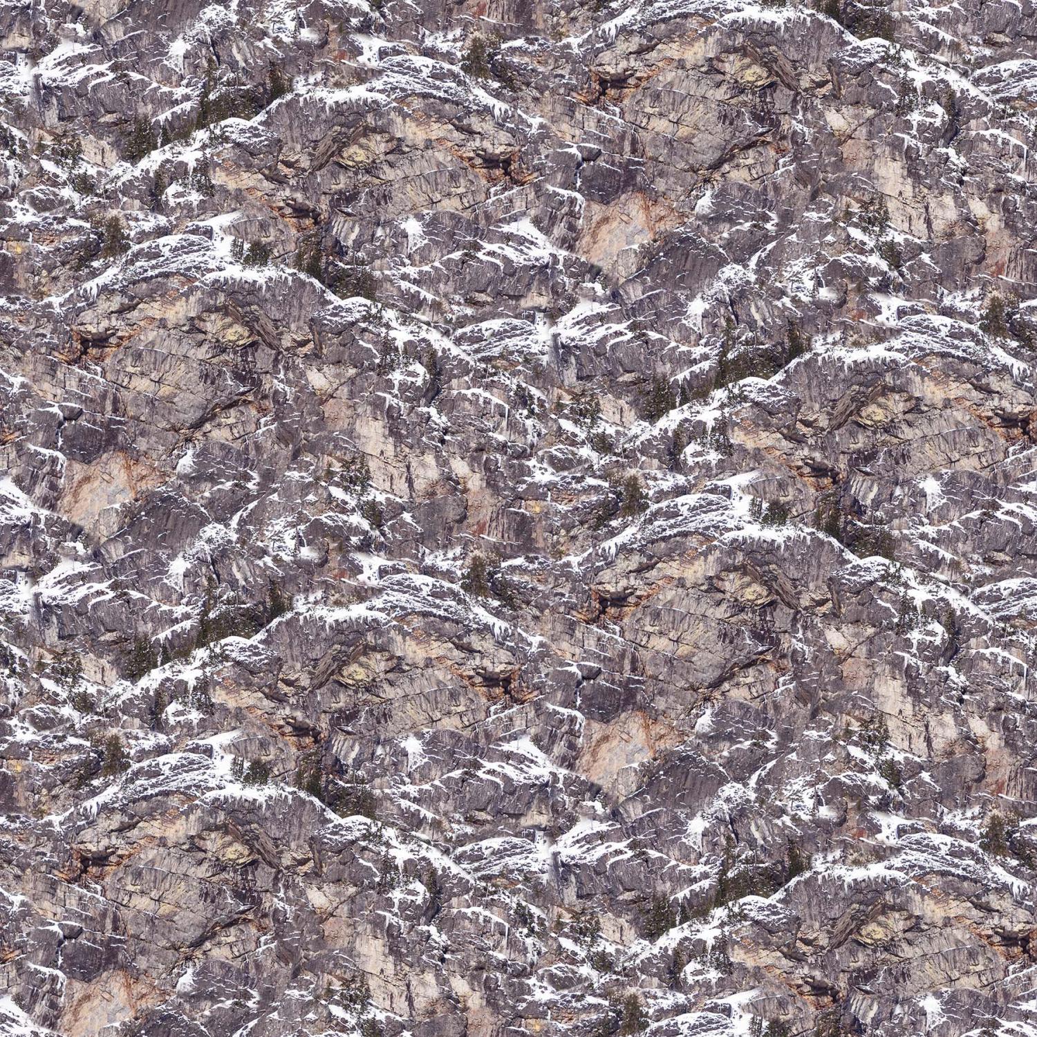 NCT Naturescapes 2020 - Rock Face DP23702-94 - Cotton Fabric