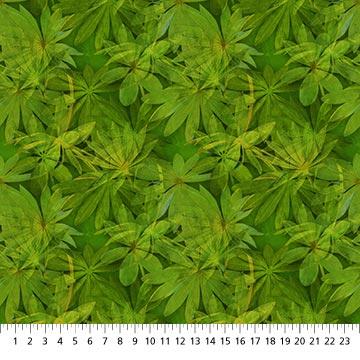 NCT Passion 24497-76 Green - Cotton Fabric