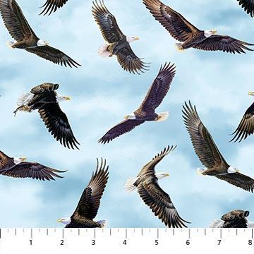 NCT Spirit of the Skies - Eagles DP23802-42 - Cotton Fabric