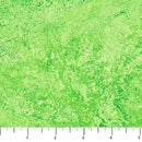 NCT Stonehenge Gradations - 39300-71 Rainforest - Cotton Fabric