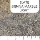 NCT Stonehenge Gradations 39300-96 - Cotton Fabric