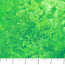 NCT Stonehenge Gradations - 39302-72 Rainforest - Cotton Fabric