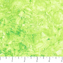 NCT Stonehenge Gradations 39303-71 - Cotton Fabric