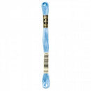 CHK DMC 6 Strand Floss - 117UA-3325 - Notions