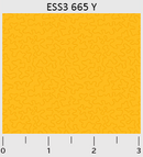 PB Bear Essentials 3-ESS300665Y - Cotton Fabric