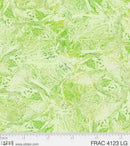PB Facture Texture, 4123-LG Lime - Cotton Fabric