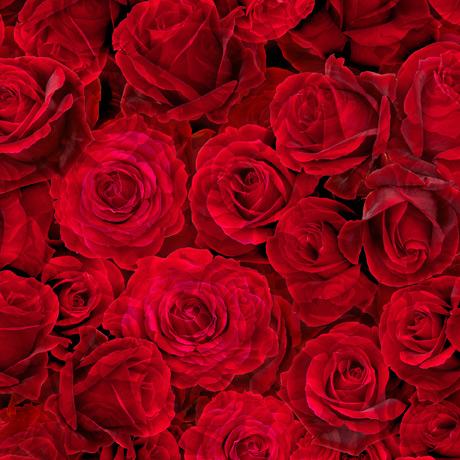 QT Blossom 28842-R Red - Cotton Fabric