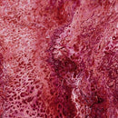QT Fusion Splash 1649-27607-M Cranberry - Cotton Quilting Fabric