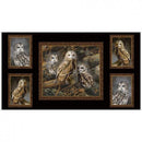 QT Nocturnal Wonders 27063-J - Cotton Fabric