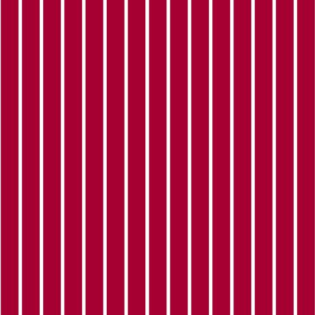 QT Spaced Stripe 28897-R  - Cotton Fabric