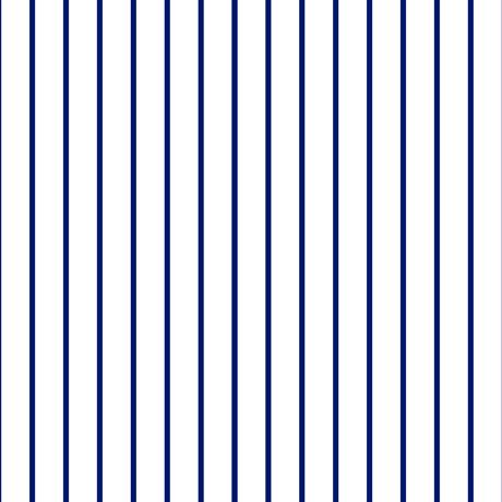 QT Spaced Stripe 28897-ZN  - Cotton Fabric