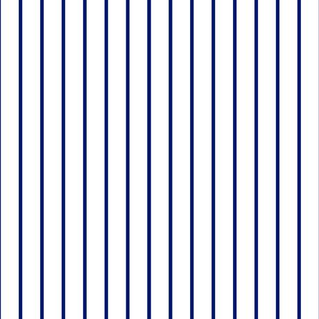 QT Spaced Stripe 28897-ZN  - Cotton Fabric