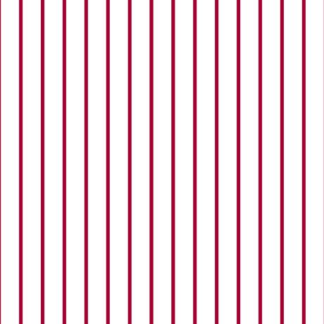 QT Spaced Stripe 28897-ZR  - Cotton Fabric