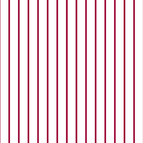 QT Spaced Stripe 28897-ZR  - Cotton Fabric