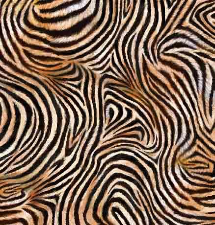 QT Zebra Skin - 29240-O - Cotton Fabric