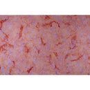 RJR Malam Batiks JB800-SU1B - Cotton Batik Fabric