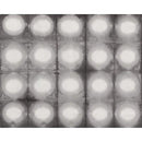 RJR Pollinator 305-FO4 Gray - Cotton Fabric