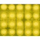 RJR Pollinator 305-LI3 Yellow - Cotton Fabric