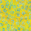 RK Artisan Batiks: Floral Wave 21622-321 Sunkissed - Cotton Batik Fabric