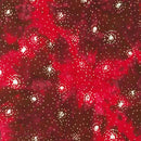 RK Artisan Batiks: Liberty - SRK-21909-461 Love - Cotton Fabric